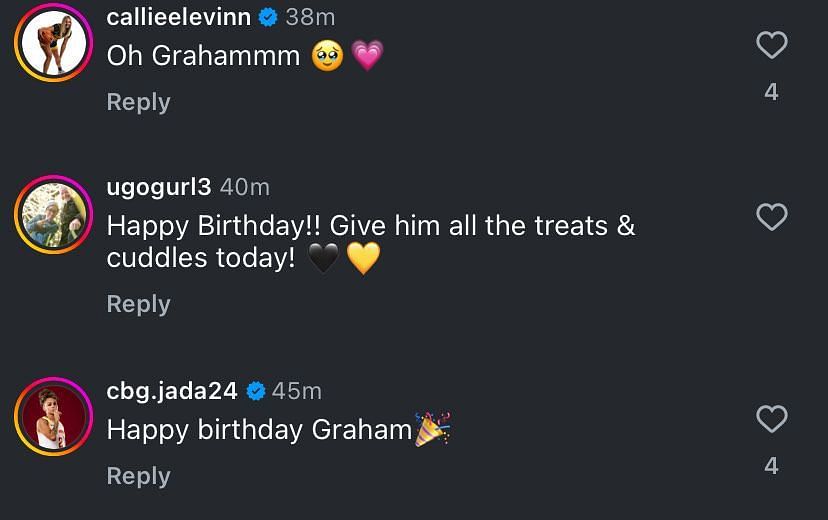 College hoop fans wish Hannah Stuelke's dog a happy birthday on IG. Image via @hannahstuelke